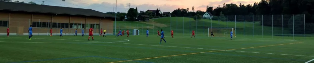 Kunstrasenplatz (Platz 3)